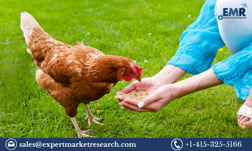 India Poultry Feed Market Share, Size, Growth, Trends, Key Players, Analysis, Demand, Report, Forecast 2023-2028