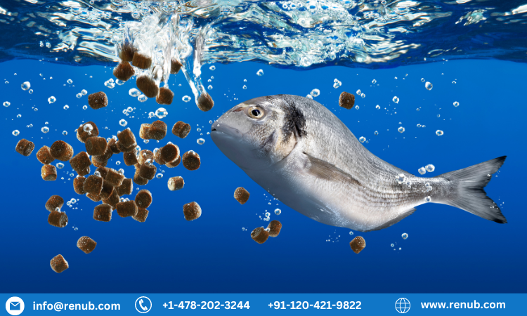 Fish Meal Market Size, Share & Growth Report 2030
