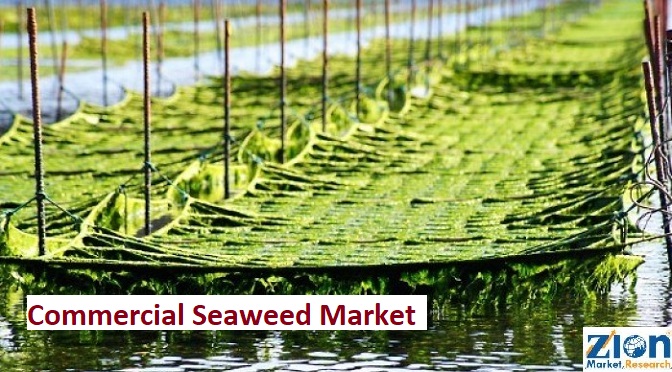 Rising Tides: Exploring the Global Commercial Seaweed Market Opportunities and Trends