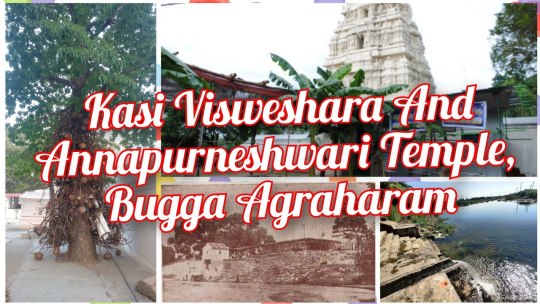 The Kashi Vishwanath Temple