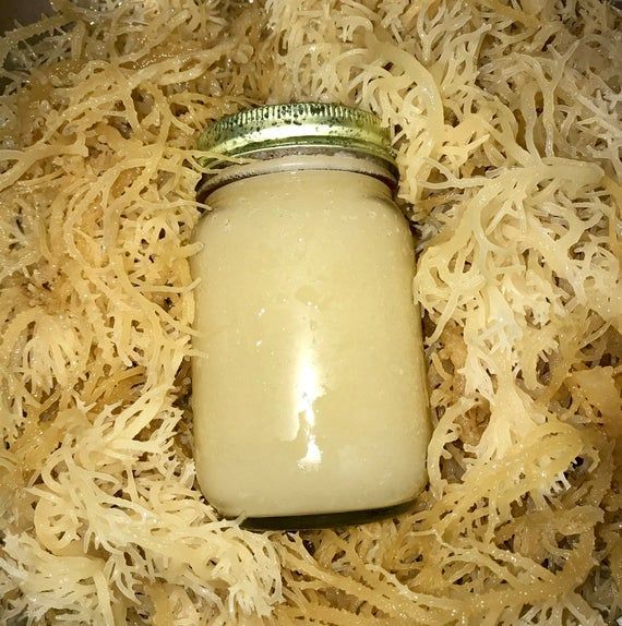 Unveiling the Ocean’s Treasure: The Sea Moss Power for a Healthier and Kinder Life